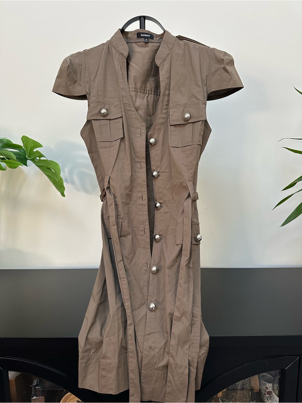 Express Olive-Brown Button Front Utility Dress